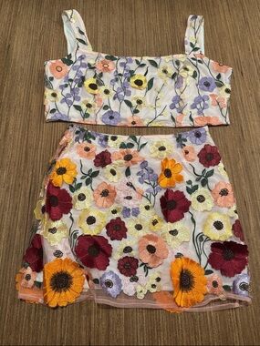 Floral Embroidered Two-Piece Crop Top & Mini Skirt Set - Multicolor